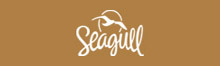 Seagull