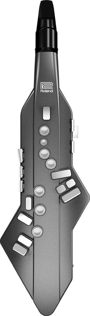 Roland aerophone go shop digital wind instrument
